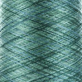 8/2 Tencel Tonals - Peacock - 1# - 1 in stock