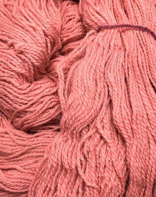 Duet - Coral - 4 oz